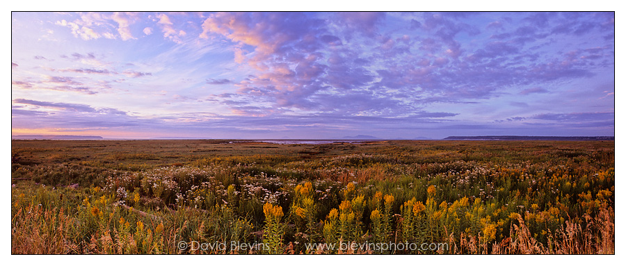 Boundary Bay