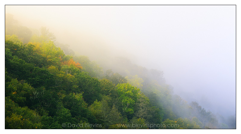 Cataloochee Valley