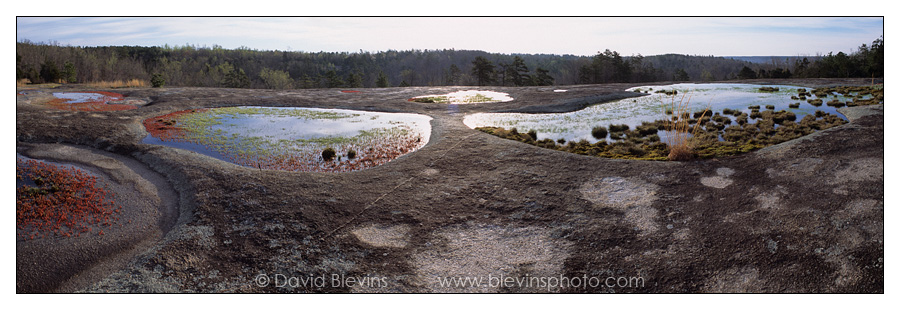 Forty Acre Rock Heritage Preserve