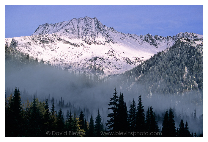 Grizzly Mountain