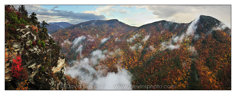 Linville Gorge Wilderness