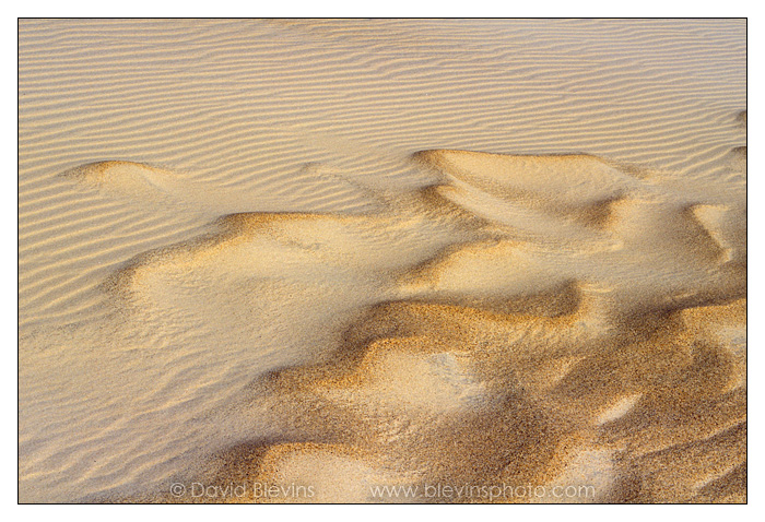 Sand Waves