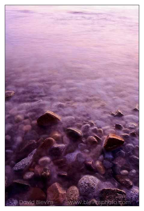 Boundary Bay Shore